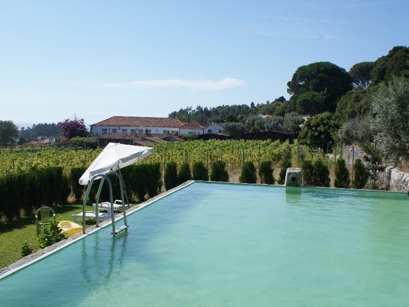 Quinta Do Paco D'Anha ξενώνας Βιάνα ντο Καστέλο Εξωτερικό φωτογραφία