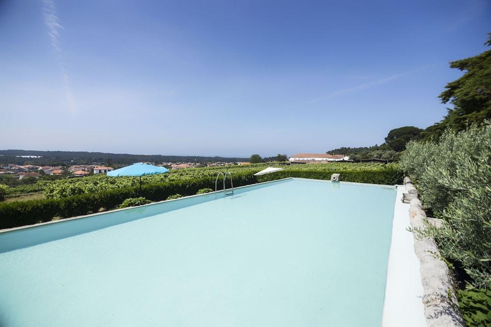 Quinta Do Paco D'Anha ξενώνας Βιάνα ντο Καστέλο Εξωτερικό φωτογραφία