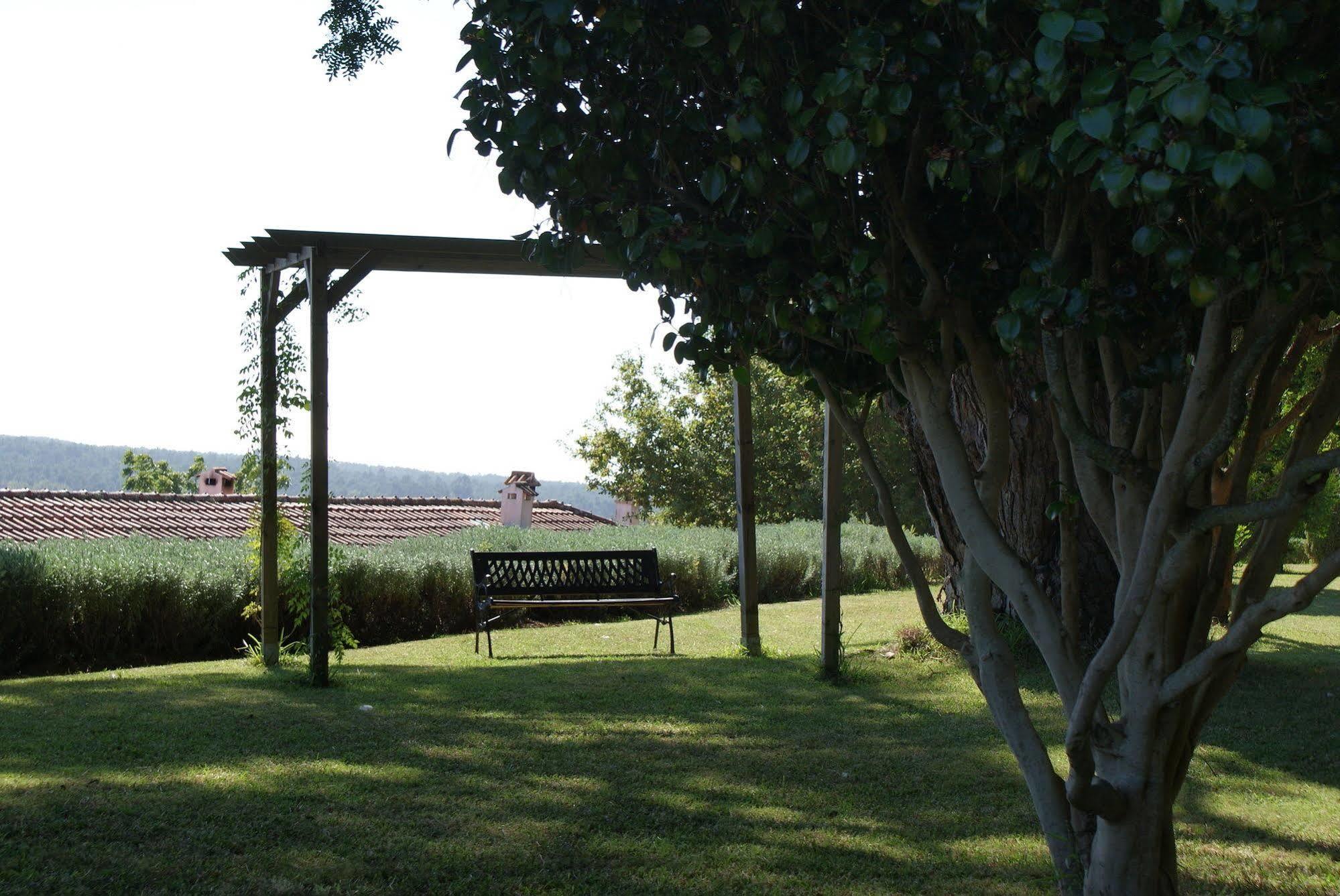 Quinta Do Paco D'Anha ξενώνας Βιάνα ντο Καστέλο Εξωτερικό φωτογραφία